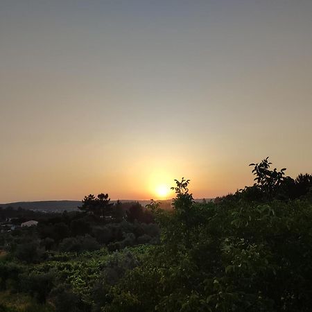 R3 - Guesthouse Travessa Da Arieira Aguda (Leiria) Buitenkant foto